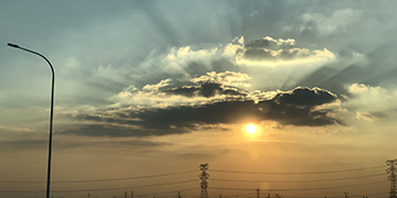 齐河悦旭技术优势